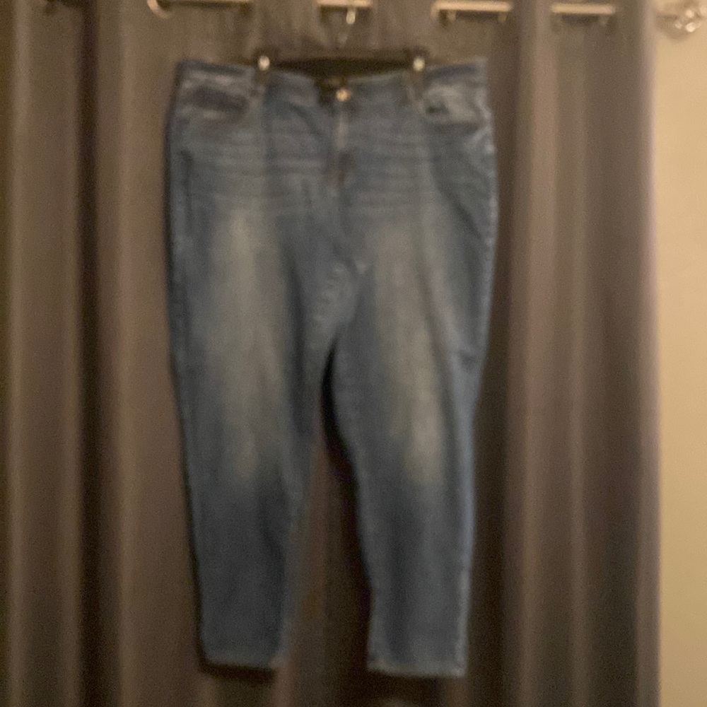 Lane Bryant jeans